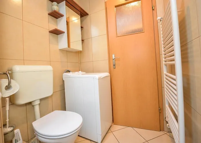 Victoriei_majestic Apartment *